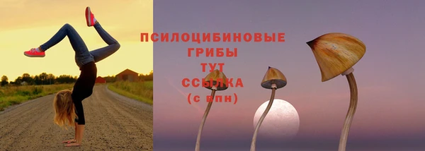 a pvp Алексин